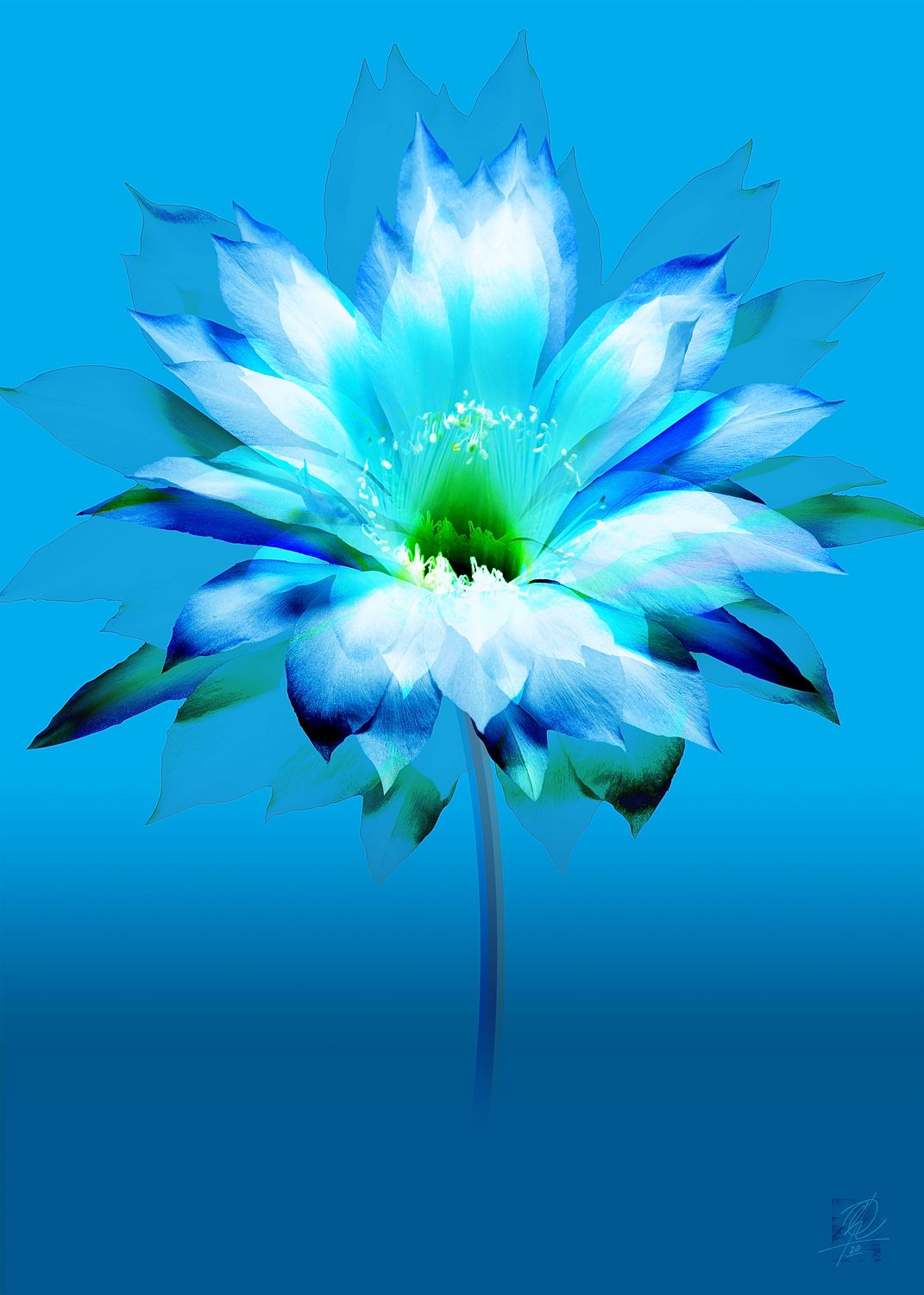 67c5f2b7 9018 428e 85e2 bd4134bca8c6.jpg 67c5f2b7 9018 428e 85e2 bd4134bca8c6.jpg